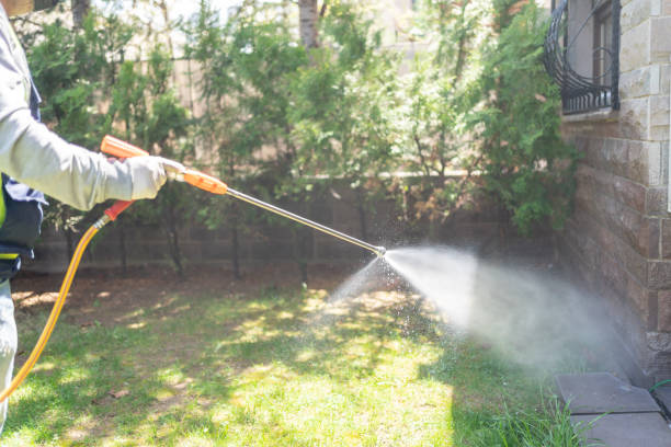 Best Insect Control  in Wallenuck Lake Estates, PA