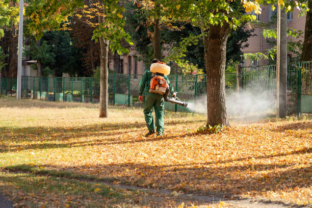 Best Cockroach Control Services  in Wallenuck Lake Estates, PA