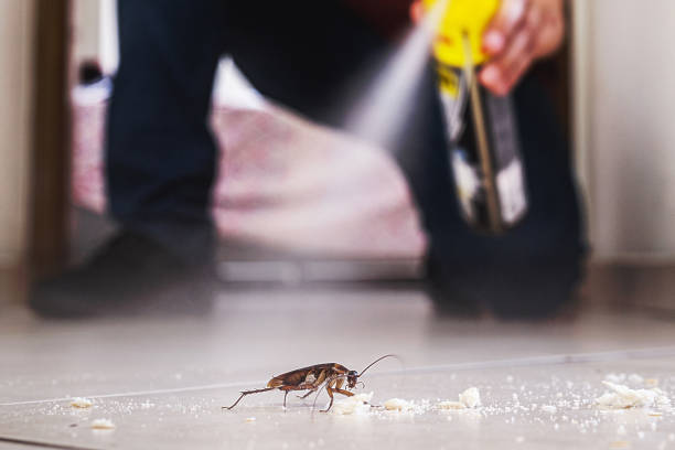 Best Pest Prevention Services  in Wallenuck Lake Estates, PA