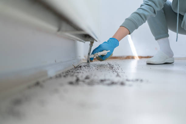 Best Pest Removal Services  in Wallenuck Lake Estates, PA